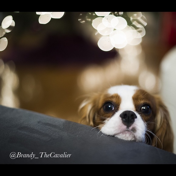 Meet your Posher, Nikky - Picture 7 of 8